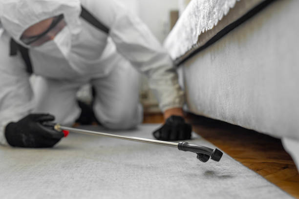 Professional Pest Control technician working in New Hackensack, NY