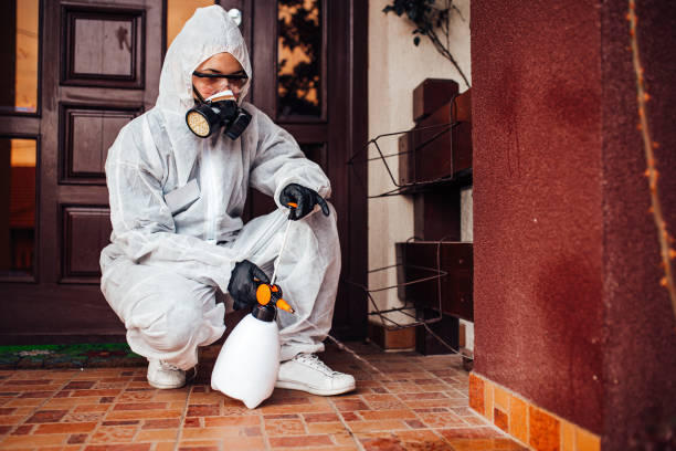 Reliable Fumigation Services contractor in New Hackensack, NY by Nex Pest Control