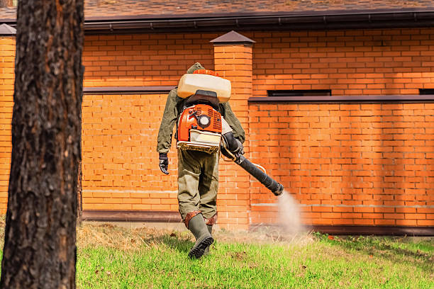 Trusted Bed Bug Control service in New Hackensack, NY - Nex Pest Control